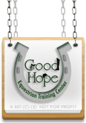 Non-Profit Website – Good Hope Logo Non-Profit Website - Good Hope Logo